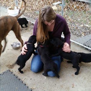 Meet your Posher, Colleen